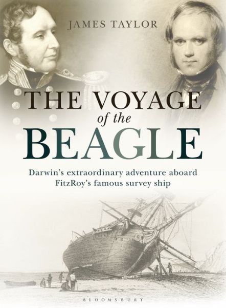 Cover for James Taylor · Voyage of the Beagle - Darwin's Extraordinary Adventure Aboard FitzRoy's Famous Survey Ship (N/A) (2015)