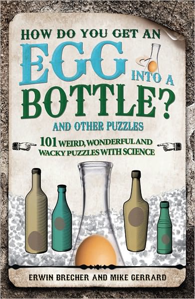 Cover for Erwin Brecher · How Do You Get Egg into a Bottle (Hardcover Book) (2011)