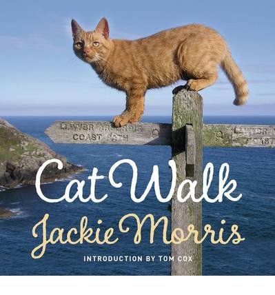 Cover for Jackie Morris · Cat Walk (Hardcover bog) (2014)