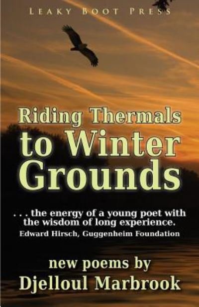 Cover for Djelloul Marbrook · Riding Thermals to Winter Grounds (Taschenbuch) (2017)