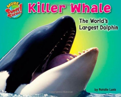 Cover for Natalie Lunis · Killer Whale: the World's Largest Dolphin (More Supersized!) (Gebundenes Buch) (2010)