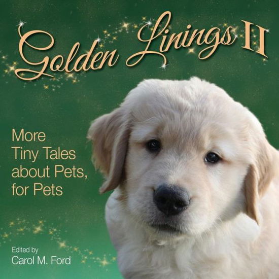 Golden Linings II - Carol M Ford - Bücher - Am Ink Publishing - 9781943201273 - 7. August 2019