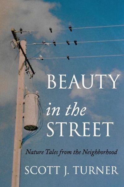 Beauty in the Street - Scott J Turner - Books - Stillwater River Publications - 9781955123273 - August 25, 2021
