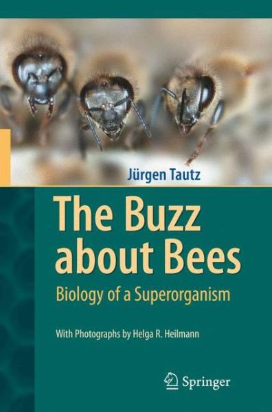 Cover for Jurgen Tautz · The Buzz about Bees: Biology of a Superorganism (Inbunden Bok) [1st ed. 2008. Corr. 2nd printing 2009 edition] (2008)