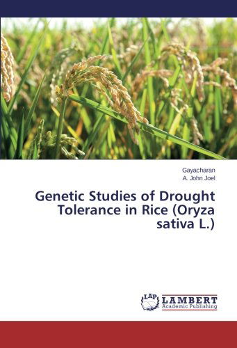 Cover for A. John Joel · Genetic Studies of Drought Tolerance in Rice (Oryza Sativa L.) (Paperback Book) (2013)