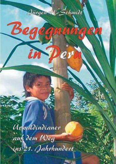 Cover for Jurgen H Schmidt · Begegnungen in Peru (Paperback Book) (2015)