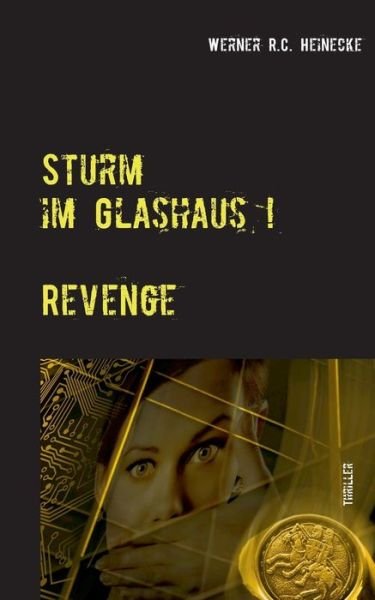 Cover for Heinecke · Sturm im Glashaus (Bok) (2018)
