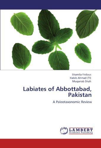 Cover for Muqarrab Shah · Labiates of Abbottabad, Pakistan: a Paleotaxonomic Review (Paperback Book) (2011)