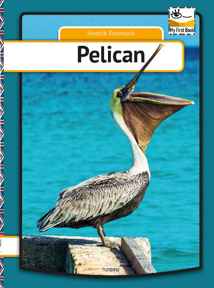 Cover for Henrik Enemark · My first Book: Pelican (Hardcover Book) [1.º edición] (2018)