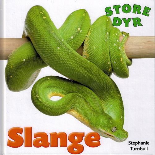 Cover for Stephanie Turnbull · Store dyr: STORE DYR: Slange (Indbundet Bog) [1. udgave] (2015)