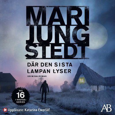 Anders Knutas: Där den sista lampan lyser - Mari Jungstedt - Hörbuch - Albert Bonniers Förlag - 9789100189273 - 9. Juni 2021