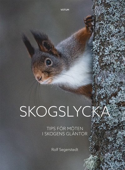 Skogslycka : tips för möten i skogens gläntor - Rolf Segerstedt - Libros - Votum & Gullers Förlag - 9789189021273 - 22 de enero de 2021