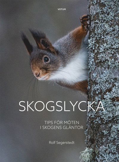 Skogslycka : tips för möten i skogens gläntor - Rolf Segerstedt - Böcker - Votum & Gullers Förlag - 9789189021273 - 22 januari 2021