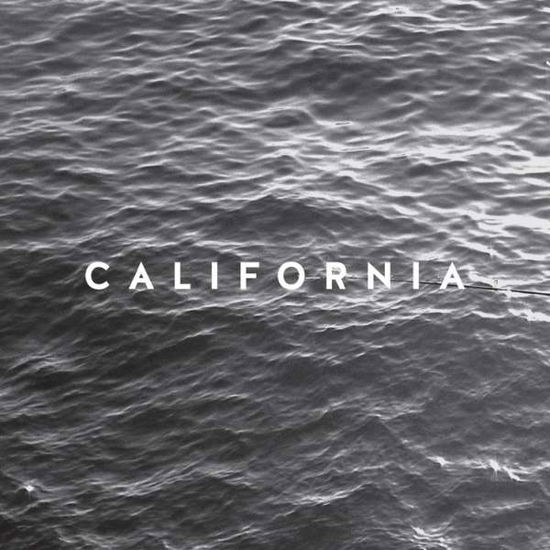 Cover for California · Hate the Pilot (7&quot;) [Limited edition] (2016)