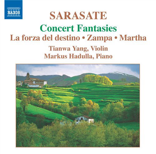 Concert Fantasies / La Forza Del Destino / Zampa - Sarasate / Yang / Hadulla - Muzyka - NAXOS - 0747313019274 - 20 listopada 2007