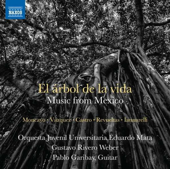 El Arbol De La Vida - Castro / Weber / Garibay - Music - NAXOS - 0747313390274 - January 11, 2019