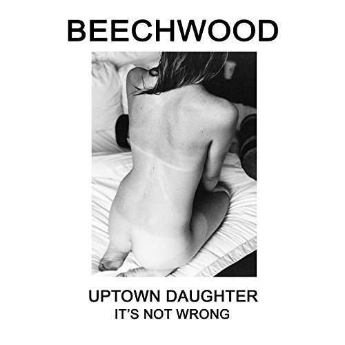 Cover for Beechwood · It's Not Wrong (LP) (2015)