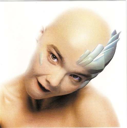 Cover for Björk · Hunter - CD Single (7&quot;) (2010)