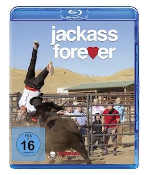 Cover for Johnny Knoxville,chris Pontius,dave England · Jackass Forever (Blu-ray) (2022)
