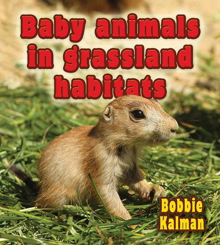 Cover for Bobbie Kalman · Baby Animals in Grassland Habitats (Habitats of Baby Animals) (Hardcover Book) (2011)