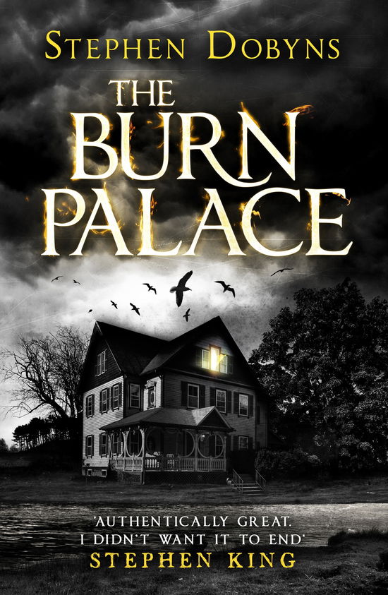 Cover for Stephen Dobyns · The Burn Palace (Paperback Book) (2014)