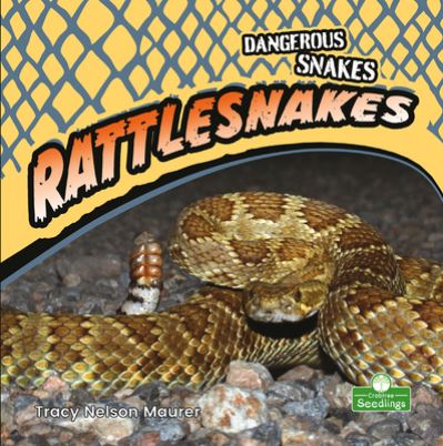 Cover for Tracy Nelson Maurer · Rattlesnakes (Paperback Book) (2021)