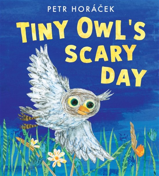 Cover for Petr Horacek · Tiny Owl's Scary Day (Hardcover bog) (2023)