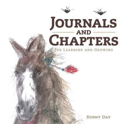 Cover for Sunny Day · Journals and Chapters (Paperback Book) (2017)