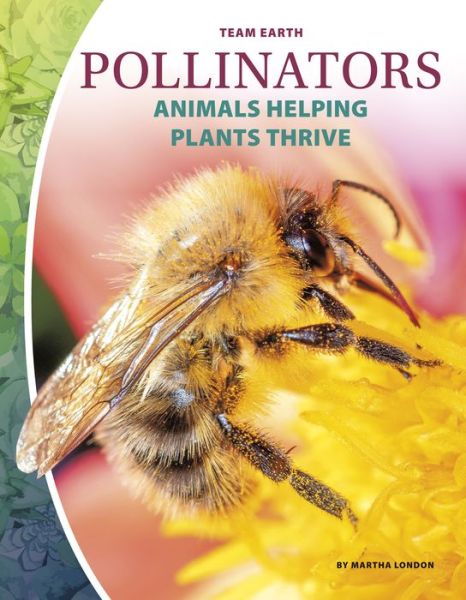 Cover for Martha London · Pollinators - Team Earth (Pocketbok) (2020)