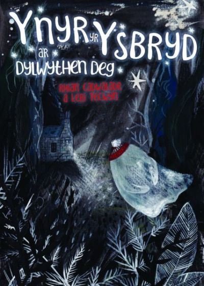 Cover for Rhian Cadwaladr · Ynyr yr Ysbryd a'r Dylwythen Deg (Pocketbok) (2022)