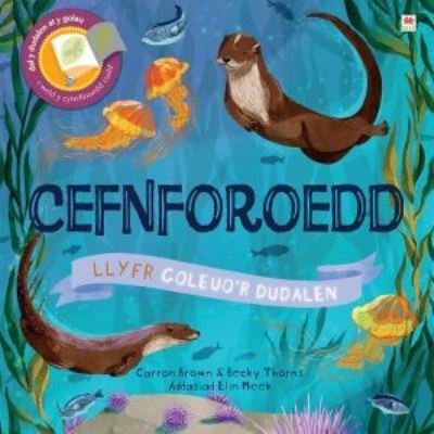 Cover for Carron Brown · Cyfres Goleuo'r Dudalen: Cefnforoedd (Hardcover bog) (2021)