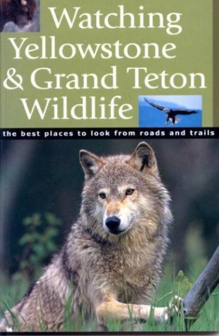 Watching Yellowstone and Grand Teton Wildlife: The Best Places to Look from Roads and Trails - Todd Wilkinson - Books - Riverbend - 9781931832274 - 2008