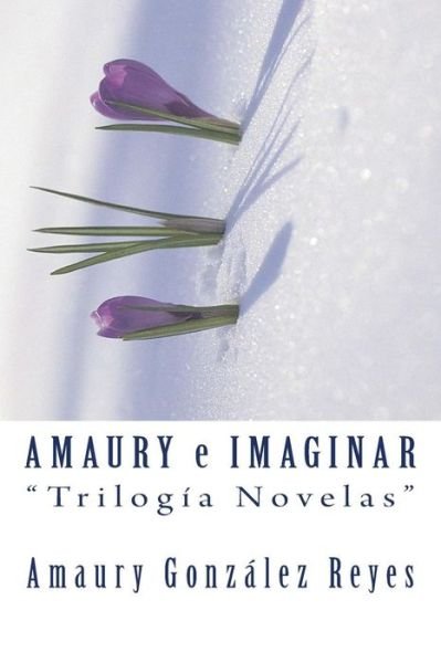 Cover for Sr Amaury Gonzalez Reyes · Amaury E Imaginar &quot;trilog a Novelas&quot; (Pocketbok) (2017)