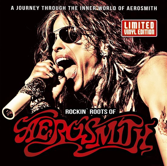 Rockin Roots of Aerosmith - Aerosmith - Muziek - SPV - 9782227136274 - 10 maart 2017