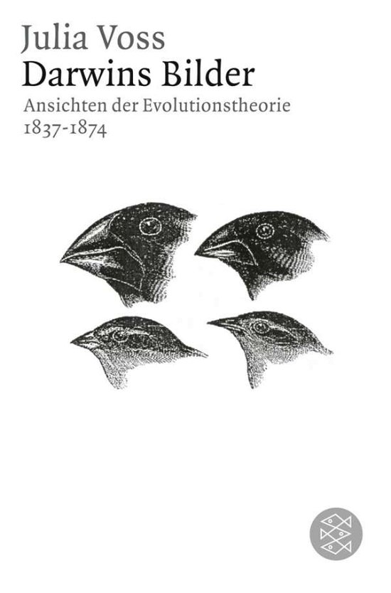 Cover for Julia Voss · Fischer TB.17627 Voss.Darwins Bilder (Bog)