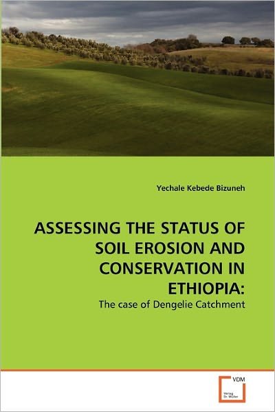 Cover for Yechale Kebede Bizuneh · Assessing the Status of Soil Erosion and Conservation in Ethiopia:: the Case of Dengelie Catchment (Pocketbok) (2011)