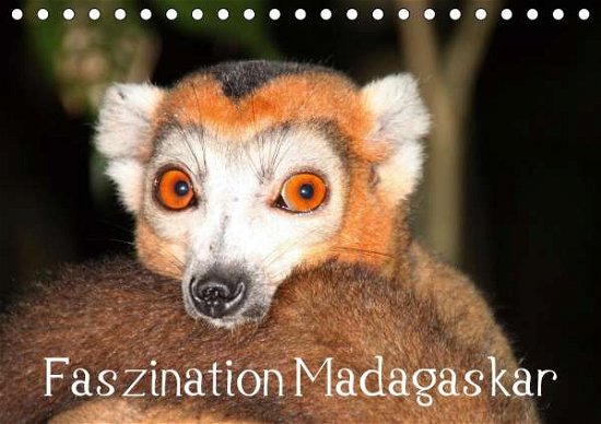 Cover for Raab · Faszination Madagaskar (Tischkalen (Bok)