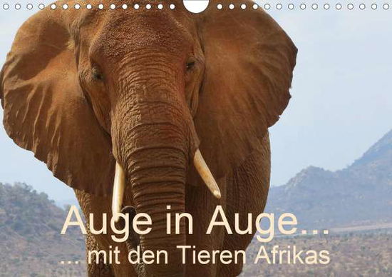 Cover for Dürr · Auge in Auge mit den Tieren Afrika (Book)