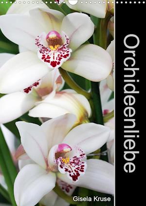 Orchideenliebe (Wandkalender 2021 - Kruse - Books -  - 9783672278274 - 