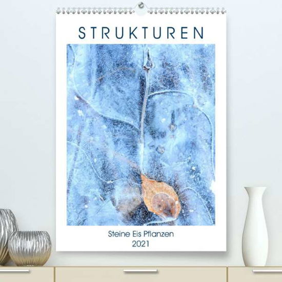 Cover for Baier · Strukturen - Steine, Eis, Pflanze (Bog)