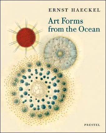 Cover for Olaf Breidbach · Art Forms from the Ocean: The Radiolarian Prints of Ernst Haeckel (Taschenbuch) (2005)