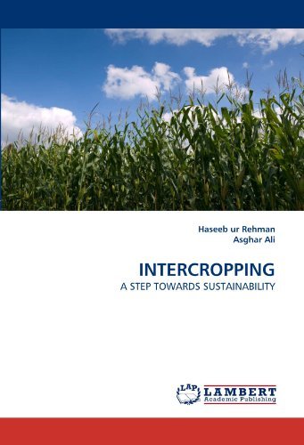 Cover for Asghar Ali · Intercropping: a Step Towards Sustainability (Paperback Book) (2010)