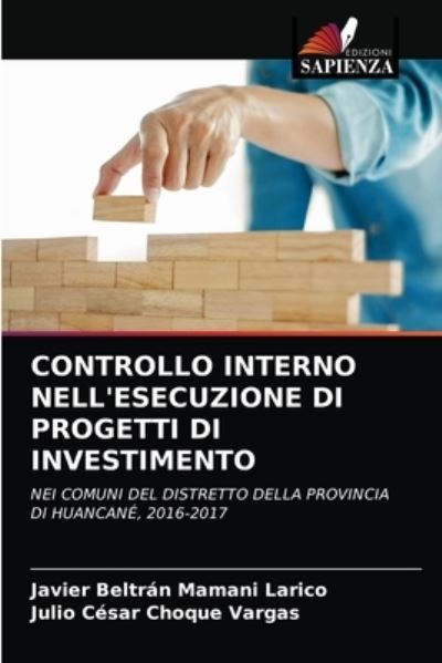 Cover for Javier Beltrán Mamani Larico · Controllo Interno Nell'esecuzione Di Progetti Di Investimento (Paperback Book) (2021)