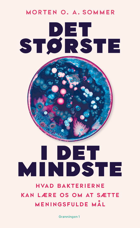 Morten O. A. Sommer · Det største i det mindste (Hardcover Book) [1. wydanie] (2024)