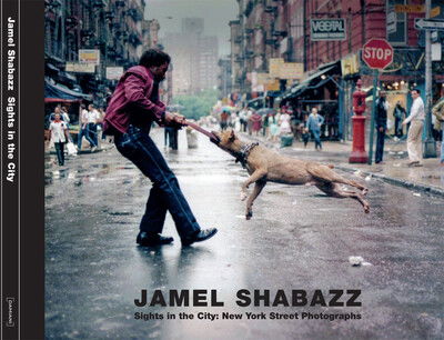 Cover for Jamel Shabazz · Sights in the City: New York Photographs (Hardcover Book) [Limited Collector's edition] (2017)