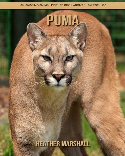 Cover for Heather Marshall · Puma: An Amazing Animal Picture Book about Puma for Kids (Taschenbuch) (2021)