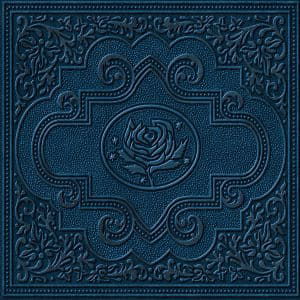 Cover for Ryan Adams · Cold Roses (CD) [Digipak] (2017)