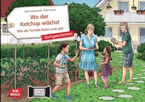 Cover for Lydia Hauenschild · Wo der Ketchup wächst. Wie die Tomate keimt und reift. Kamishibai Bildkartenset (Spielzeug)