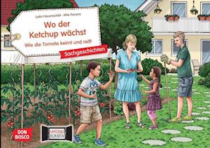 Cover for Lydia Hauenschild · Wo der Ketchup wächst. Wie die Tomate keimt und reift. Kamishibai Bildkartenset (Toys)