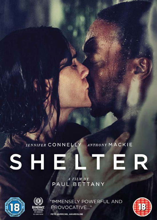 Shelter - Paul Bettany - Films - Arrow Films - 5027035013275 - 11 januari 2016
